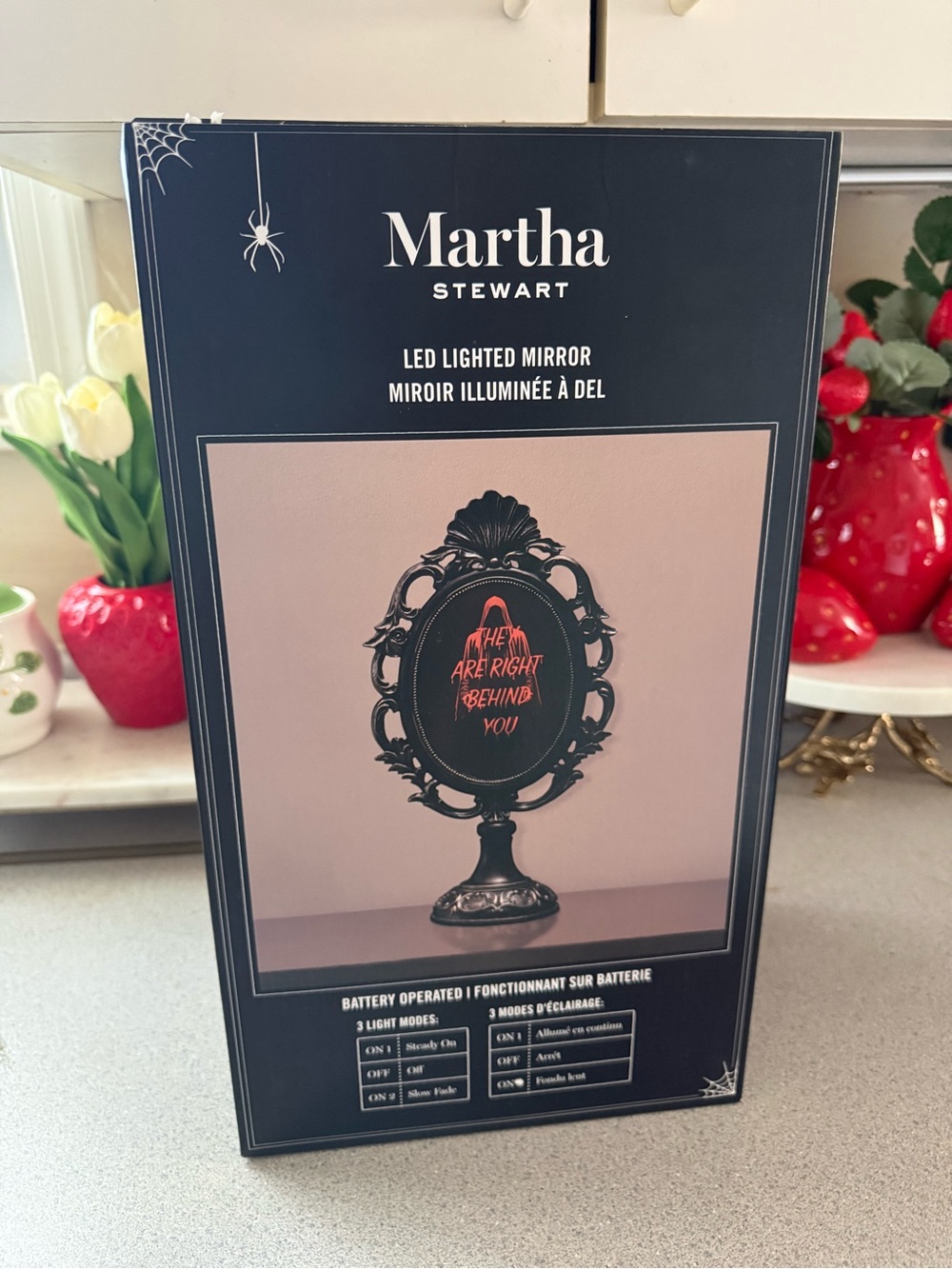 Martha Stewart LED “They are right behind you” mirror